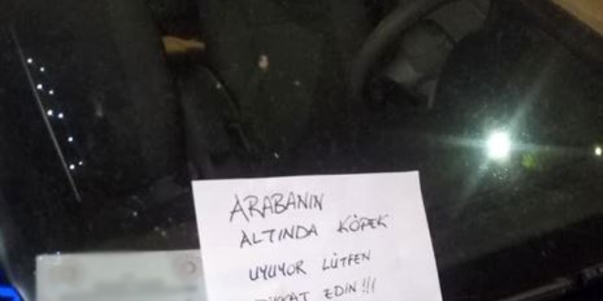 Park halindeki bir aracın camına bırakılan not, 'insanlık ölmemiş' dedirtti
