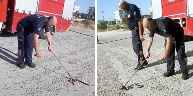 Yılanın başın ezen itfaiye eri hakkında inceleme