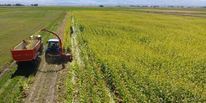 'Alo ürünüm tarlada kaldı, hasadını yapar mısınız?'