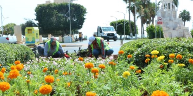 Mersin Büyükşehir, 100 kadını istihdam edecek
