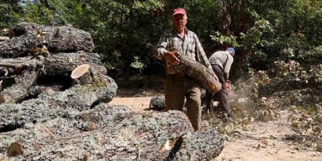 Erkekler 'yakacak' kadınlar 'lezzet' mesaisinde