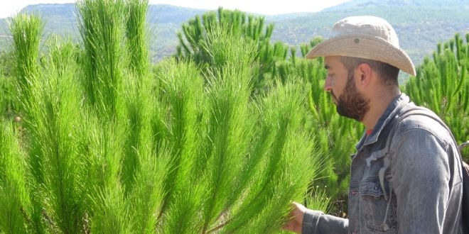 Müdürlükten istifa etti, 81 ili gezip fidan dikiyor