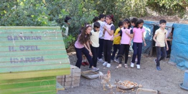 Okul bahçesinde hayvanat bahçesi