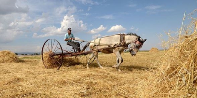 Tarım ve ormancılıkta 3 yıllık yol haritası belli oldu