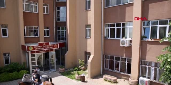 Veteriner Fakültesi'nin 3 gün içinde boşaltılması istendi