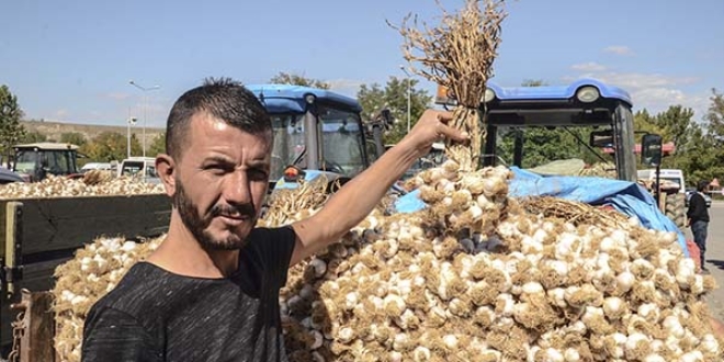 3 ilimizde sarımsak zam şampiyonu