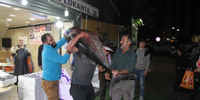 Rize'de 90 kiloluk orkinosa büyük ilgi