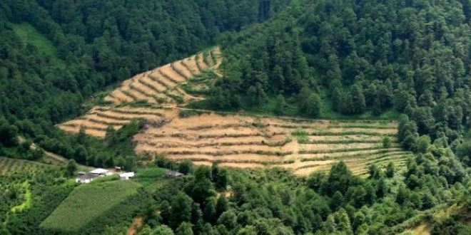 Güvenlik güçlerine 'yürüyüş güzergahı' desteği