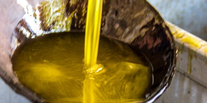 İnternetten zeytinyağı alırken dikkat edin