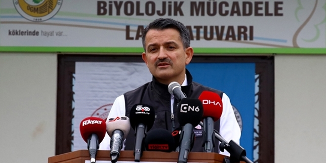 'Türk-Kürt kardeşliğinin önüne hiçbir şey geçemez'