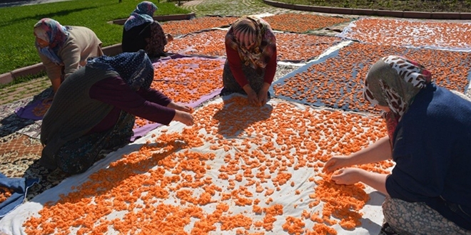 Şifa deposu asırlık lezzet 'Tarhana' telaşı