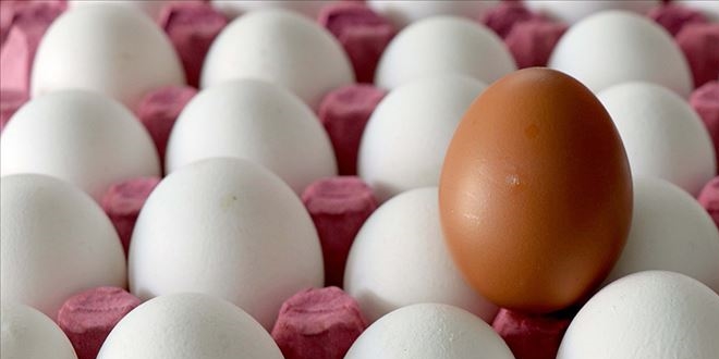 Yumurta ihracatçılarından ABD hamlesi