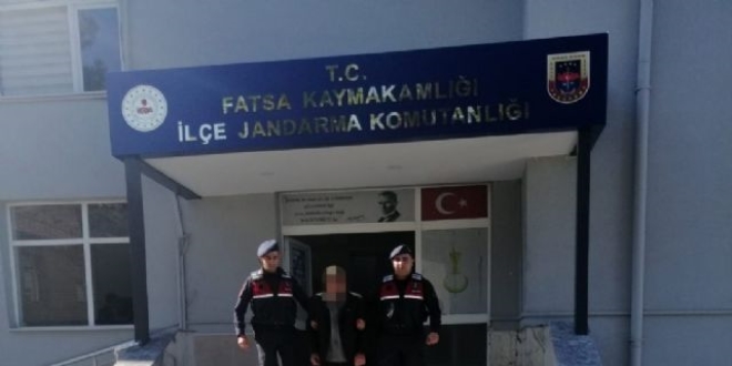 Yavru köpekleri öldüren kişiye 6 bin 208 lira ceza