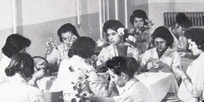 Olgunlaşma enstitüleri küllerinden doğuyor