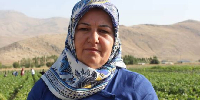 Görevden uzaklaştırılan Erciş Belediye Başkanı tutuklandı