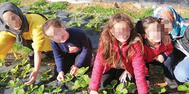 Muş'un çilek çocukları