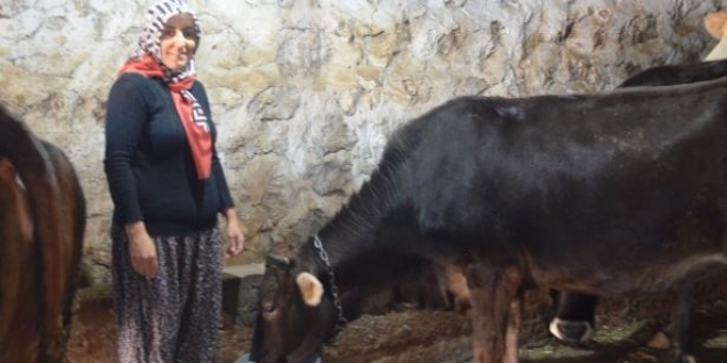4 çocuk annesi kadın hayvancılık yapmak için köye taşındı