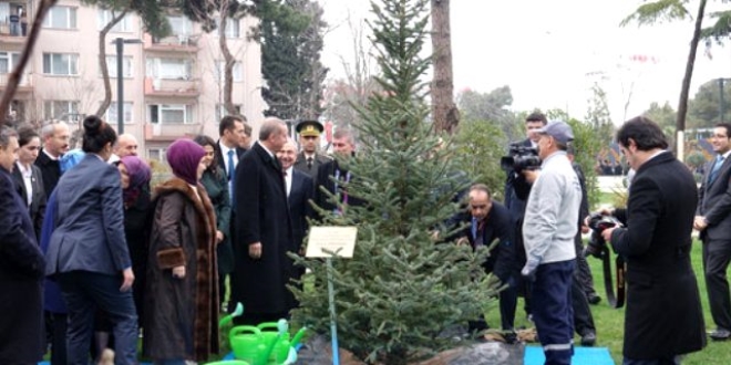 Erdoğan'dan 'yeşil bir Türkiye için' destek çağrısı