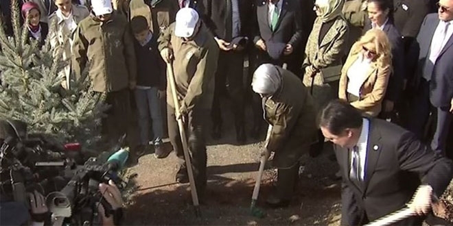 81 ilde 11 milyon fidan toprakla buluşuyor