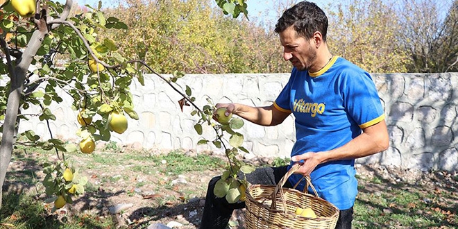 Avrupayı bırakıp köye yerleşti