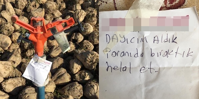 Tarladan aldığı pancarın parasını fıskiyeye bıraktı