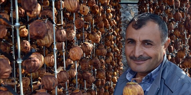 Cennet hurmasını kurutup 23 liradan satıyor