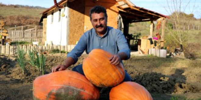 Okul müdürü hobi için dikti... Görünce şaşkına döndü