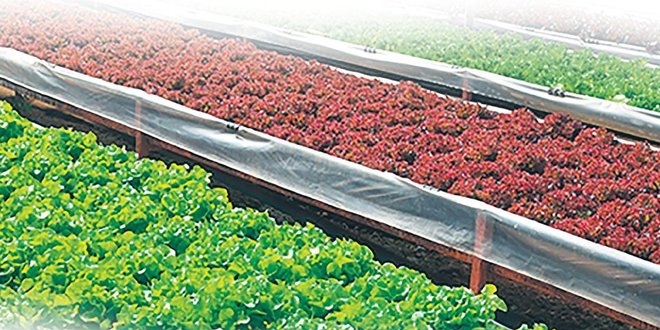 Akıllı tarıma 2.4 milyon TL yatırım