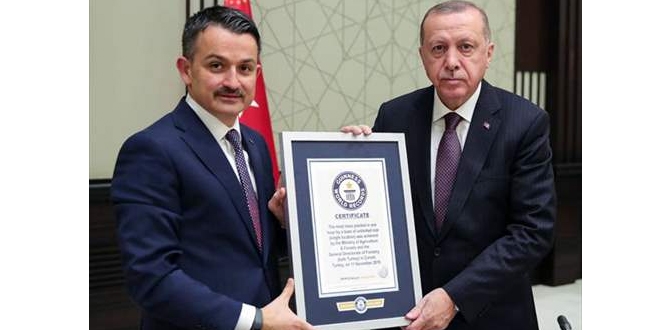 'En fazla fidan dikme rekoru' belgesi Erdoğan'a takdim edildi
