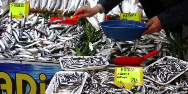 Hamsinin kilogram fiyatındaki düşüş sürüyor