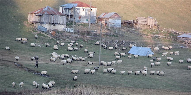 Giresun'daki Gölyanı Obası için 'tabiat parkı' talebi
