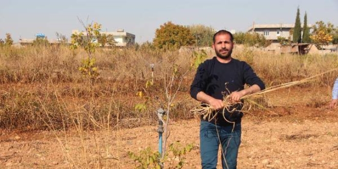 Mevsimlik işçiydi, İngiltere'de patron oldu