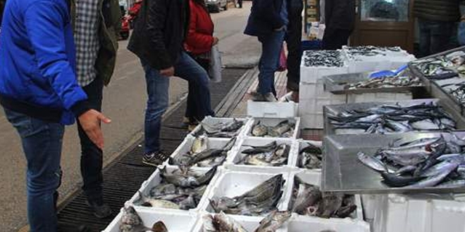 Balıkçı tezgahları karagöz, eşkina ve minekop ile şenlendi