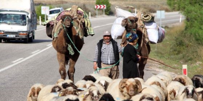 Develer eşliğinde 3 gün süren göç