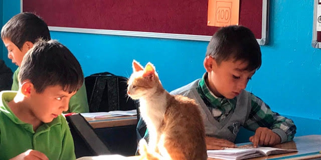 'Limon', köy okulunun maskotu oldu