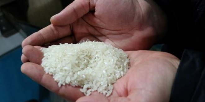 'Beyaz altın' sofralar için hazırlanıyor