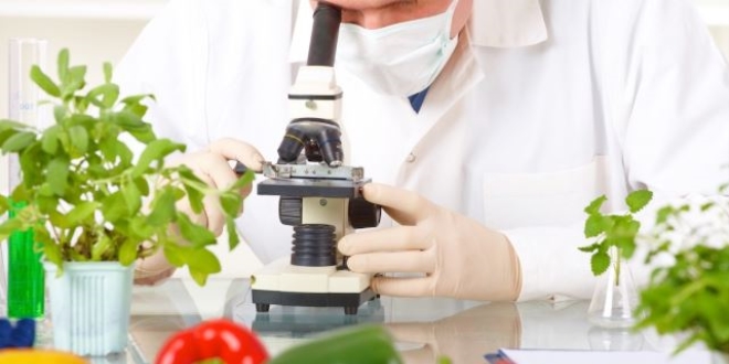 Gıda işletmelerinde 'biyomühendis' istihdam edilebilecek