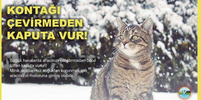 Belediyeden 'Kontağı çevirmeden önce kaputa vur' çağrısı