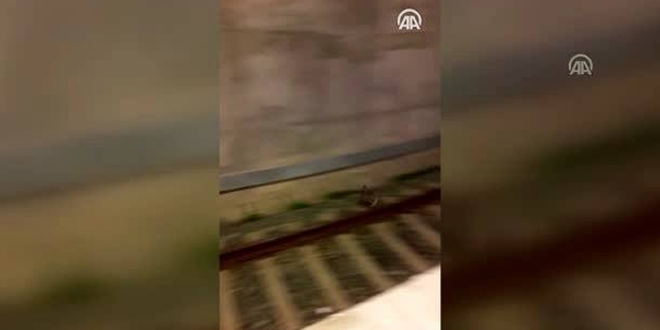 Marmaray'ın önünden kaçan tavşan kameraya yakalandı