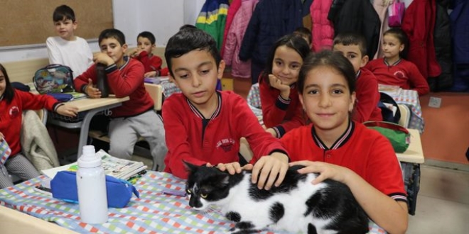 Okul müdürünün sahiplendiği kedi, öğrencilerin neşesi oldu