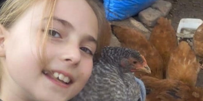 Ecem ve babaannesi okul çıkışı kazada öldü