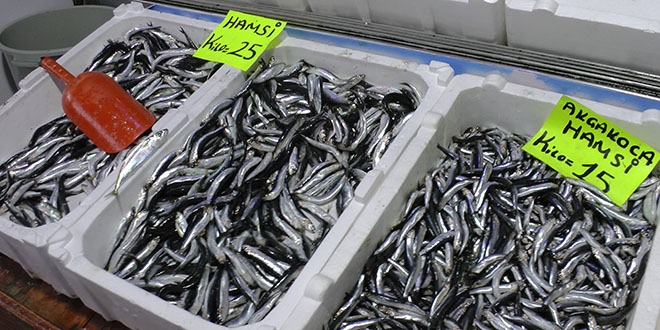 Karadeniz'de hamsi fiyatı tavan yaptı