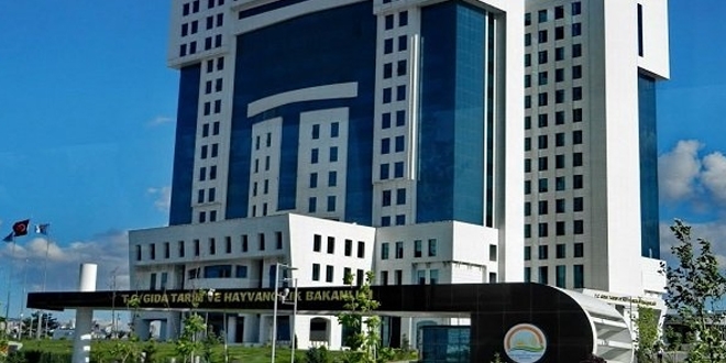 Tarım Bakanlığı, neden şeker ithal edildiğini açıkladı