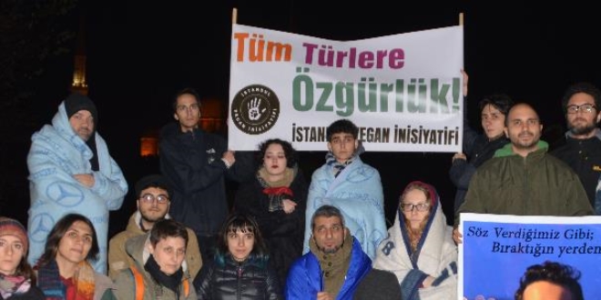 Hayvan severlerin İBB önündeki fayton eylemi gecede devam etti