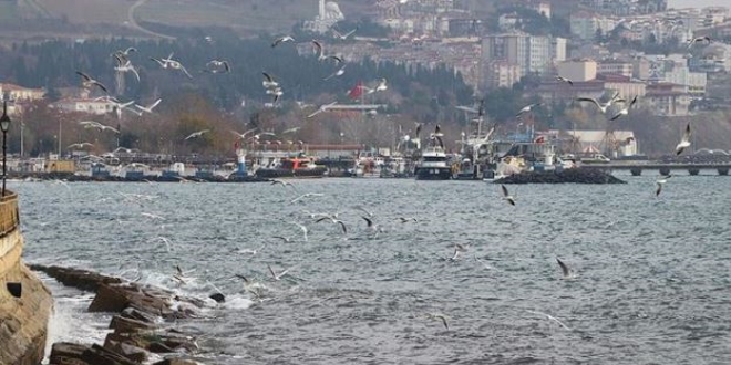 Marmara Denizi'nde lodos ulaşıma engel oluyor