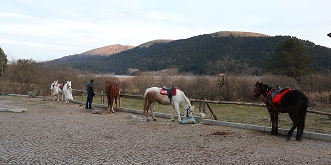 Abant'ta ruam phesi olan atlarn sahiplerine de test yapld