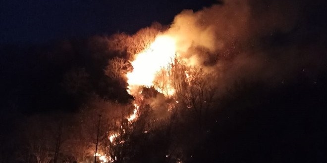 Karadeniz bölgesinde orman yangını