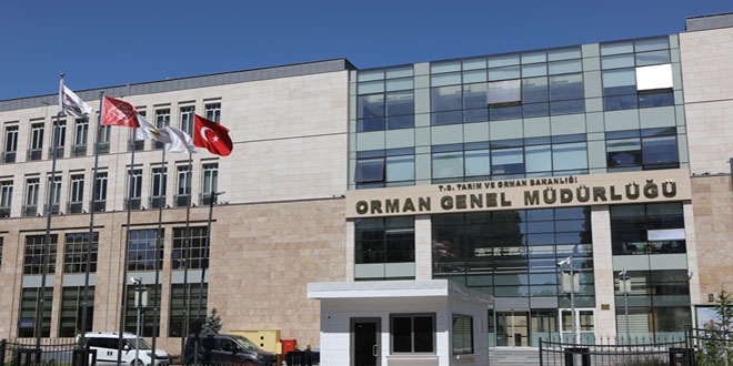 Karadeniz'deki 58 orman yangınından 45'i kontrol altında