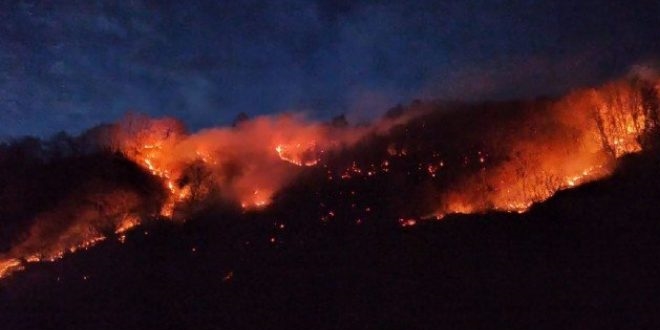 Karadeniz'de, son 2 gndeki 58 yangn, PKK karm!