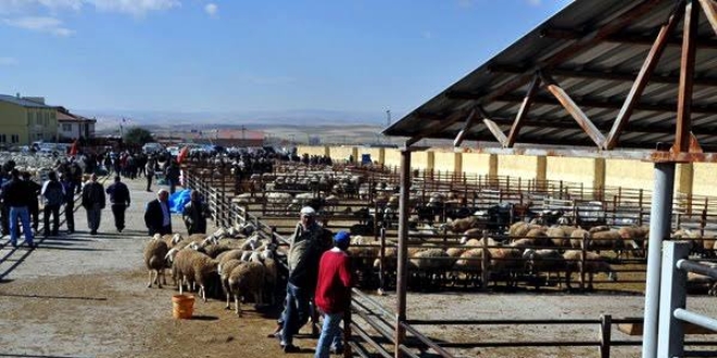 Kırşehir Canlı Hayvan Pazarı kapatıldı
